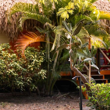 Mondi Lodge Dorp Dorp Sint Michiel Exterior foto