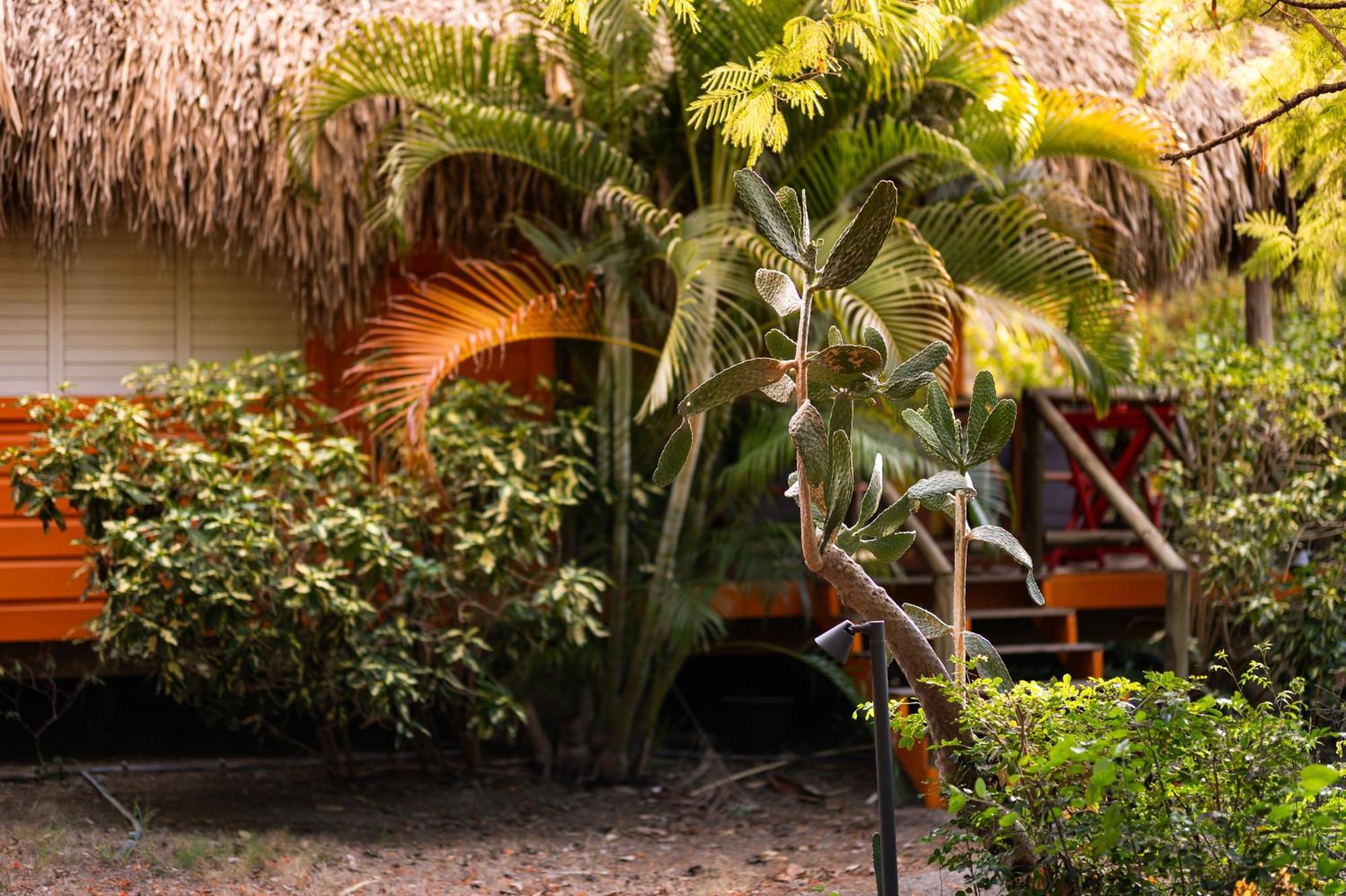 Mondi Lodge Dorp Dorp Sint Michiel Exterior foto